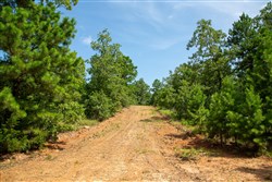 property photo for Tyler Stone Ranch Tract 55, 5.61 acres for sale in Leflore County, Oklahoma