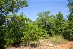 property photo for Tyler Stone Ranch Tract 55, 5.61 acres for sale in Leflore County, Oklahoma