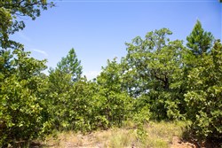 property photo for Tyler Stone Ranch Tract 55, 5.61 acres for sale in Leflore County, Oklahoma