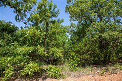 property photo for Tyler Stone Ranch Tract 55, 5.61 acres for sale in Leflore County, Oklahoma