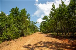 Tyler Stone Ranch Tract 58