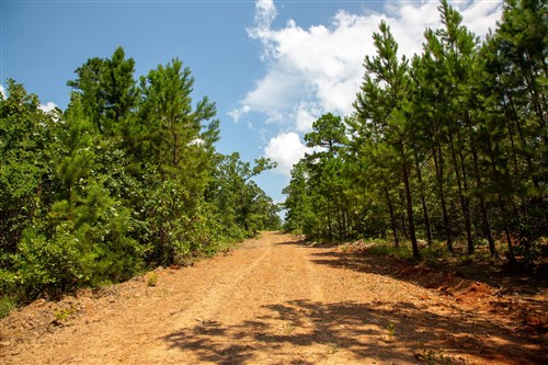 Tyler Stone Ranch Tract 58