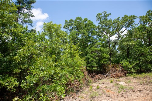 Tyler Stone Ranch Tract 58