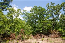 Tyler Stone Ranch Tract 58