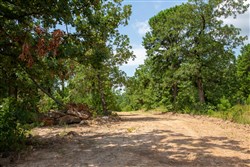 Tyler Stone Ranch Tract 58