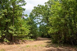 Tyler Stone Ranch Tract 61