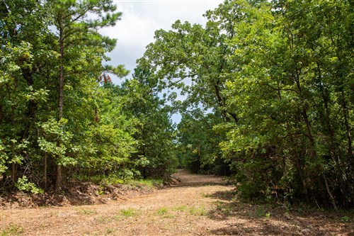 Tyler Stone Ranch Tract 61