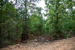 Tyler Stone Ranch Tract 61
