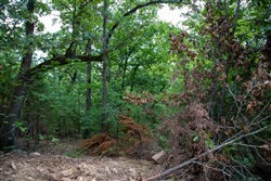 Tyler Stone Ranch Tract 61