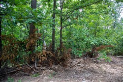 Tyler Stone Ranch Tract 61