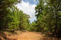 Tyler Stone Ranch Tract 62
