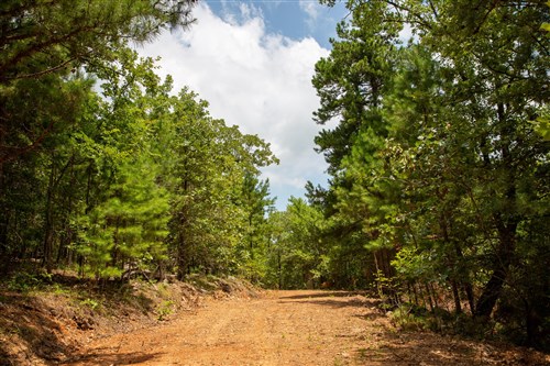 Tyler Stone Ranch Tract 62
