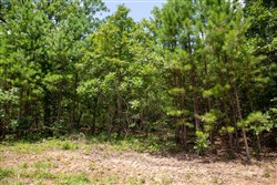 Tyler Stone Ranch Tract 62
