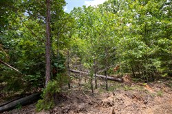 Tyler Stone Ranch Tract 62
