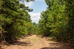 property photo for Tyler Stone Ranch Tract 65, 8.74 acres for sale in Leflore County, Oklahoma