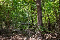 property photo for Tyler Stone Ranch Tract 65, 8.74 acres for sale in Leflore County, Oklahoma