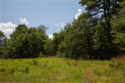 property photo for Tyler Stone Ranch Tract 65, 8.74 acres for sale in Leflore County, Oklahoma