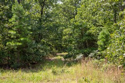 property photo for Tyler Stone Ranch Tract 65, 8.74 acres for sale in Leflore County, Oklahoma