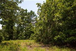 property photo for Tyler Stone Ranch Tract 65, 8.74 acres for sale in Leflore County, Oklahoma