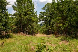 property photo for Tyler Stone Ranch Tract 65, 8.74 acres for sale in Leflore County, Oklahoma