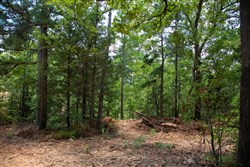 property photo for Tyler Stone Ranch Tract 71, 16.56 acres for sale in Leflore County, Oklahoma
