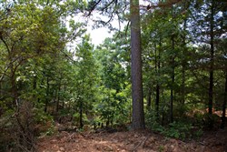 property photo for Tyler Stone Ranch Tract 71, 16.56 acres for sale in Leflore County, Oklahoma