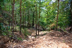 property photo for Tyler Stone Ranch Tract 71, 16.56 acres for sale in Leflore County, Oklahoma