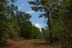 property photo for Tyler Stone Ranch Tract 71, 16.56 acres for sale in Leflore County, Oklahoma