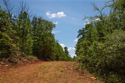 property photo for Tyler Stone Ranch Tract 71, 16.56 acres for sale in Leflore County, Oklahoma