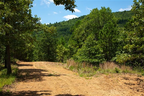 Tyler Stone Ranch Tract 72