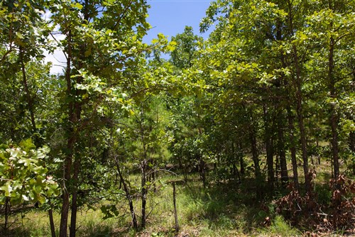 Tyler Stone Ranch Tract 72