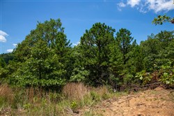 Tyler Stone Ranch Tract 72