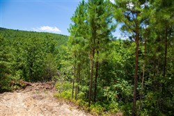 Tyler Stone Ranch Tract 72