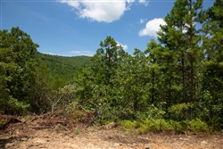 Tyler Stone Ranch Tract 72