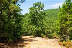 Tyler Stone Ranch Tract 73