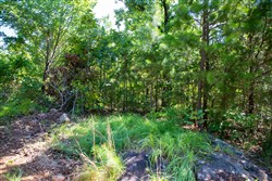 Tyler Stone Ranch Tract 73