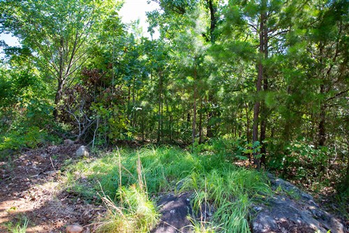 Tyler Stone Ranch Tract 73