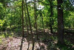 Tyler Stone Ranch Tract 73