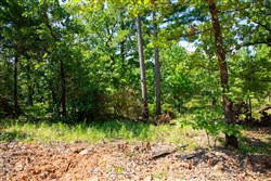 Tyler Stone Ranch Tract 74