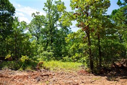 Tyler Stone Ranch Tract 74