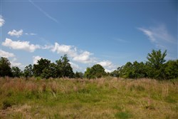 Tyler Stone Ranch Tract 81