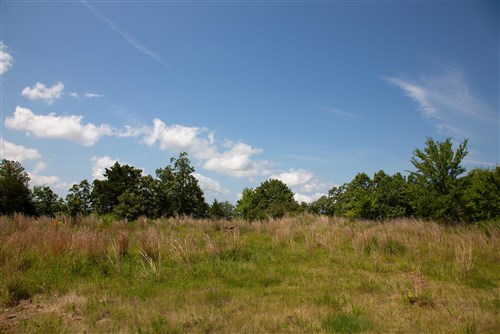 Tyler Stone Ranch Tract 81
