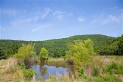 Tyler Stone Ranch Tract 81