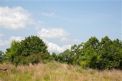 Tyler Stone Ranch Tract 81