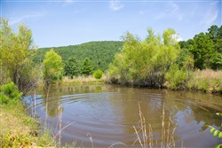 property photo for Tyler Stone Ranch Tract 82, 24.81 acres for sale in Leflore County, Oklahoma