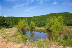 property photo for Tyler Stone Ranch Tract 82, 24.81 acres for sale in Leflore County, Oklahoma