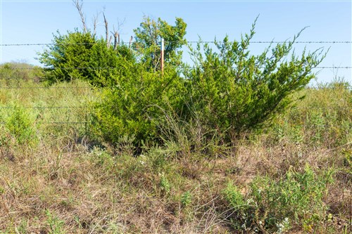 Canyon Creek Tract 1