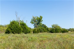 Canyon Creek Tract 1