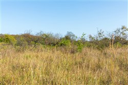 property photo for Canyon Creek Tract 10, 8.65 acres for sale in Lincoln County, Oklahoma