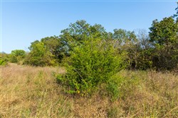 property photo for Canyon Creek Tract 10, 8.65 acres for sale in Lincoln County, Oklahoma